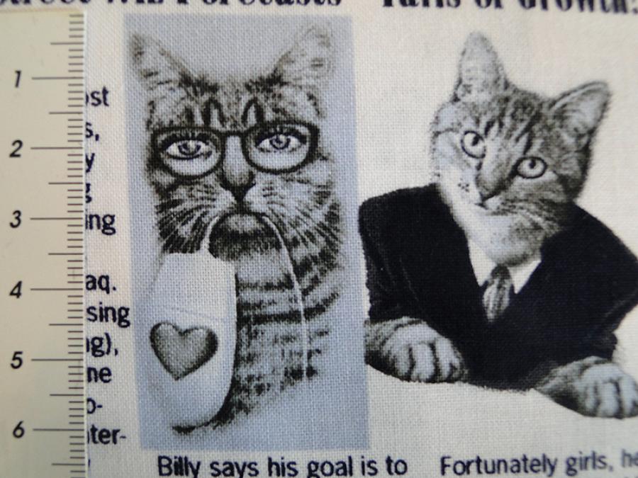 Patchworkstoff in Zeitungsoptik mit Texten und Bildern zum Thema Katzen und Katzenbesitzer. Nahansicht mit 2 Katzrn mit Maß.