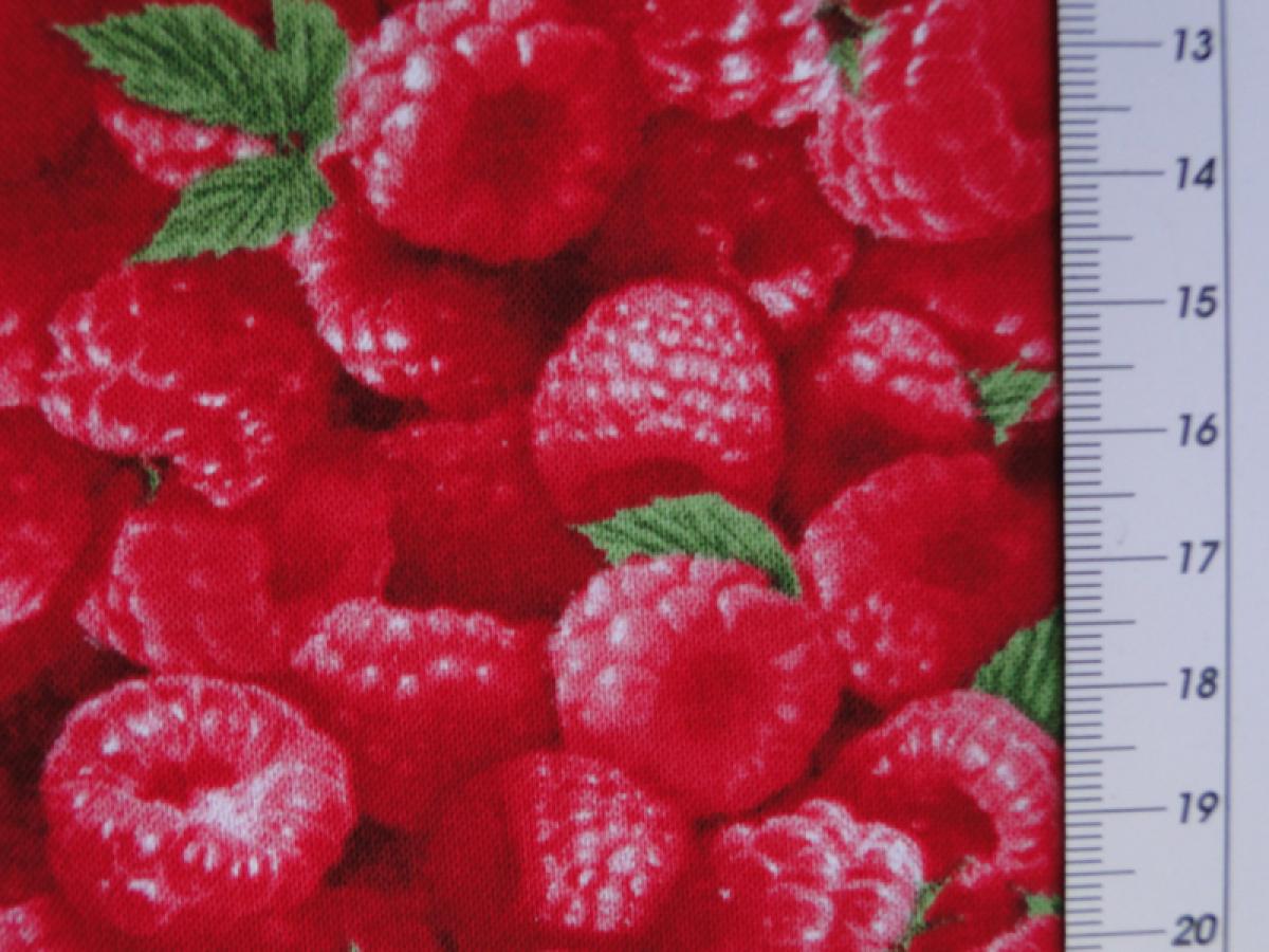 Patchworkstoff. Himbeeren. Detailansicht mit Maß.