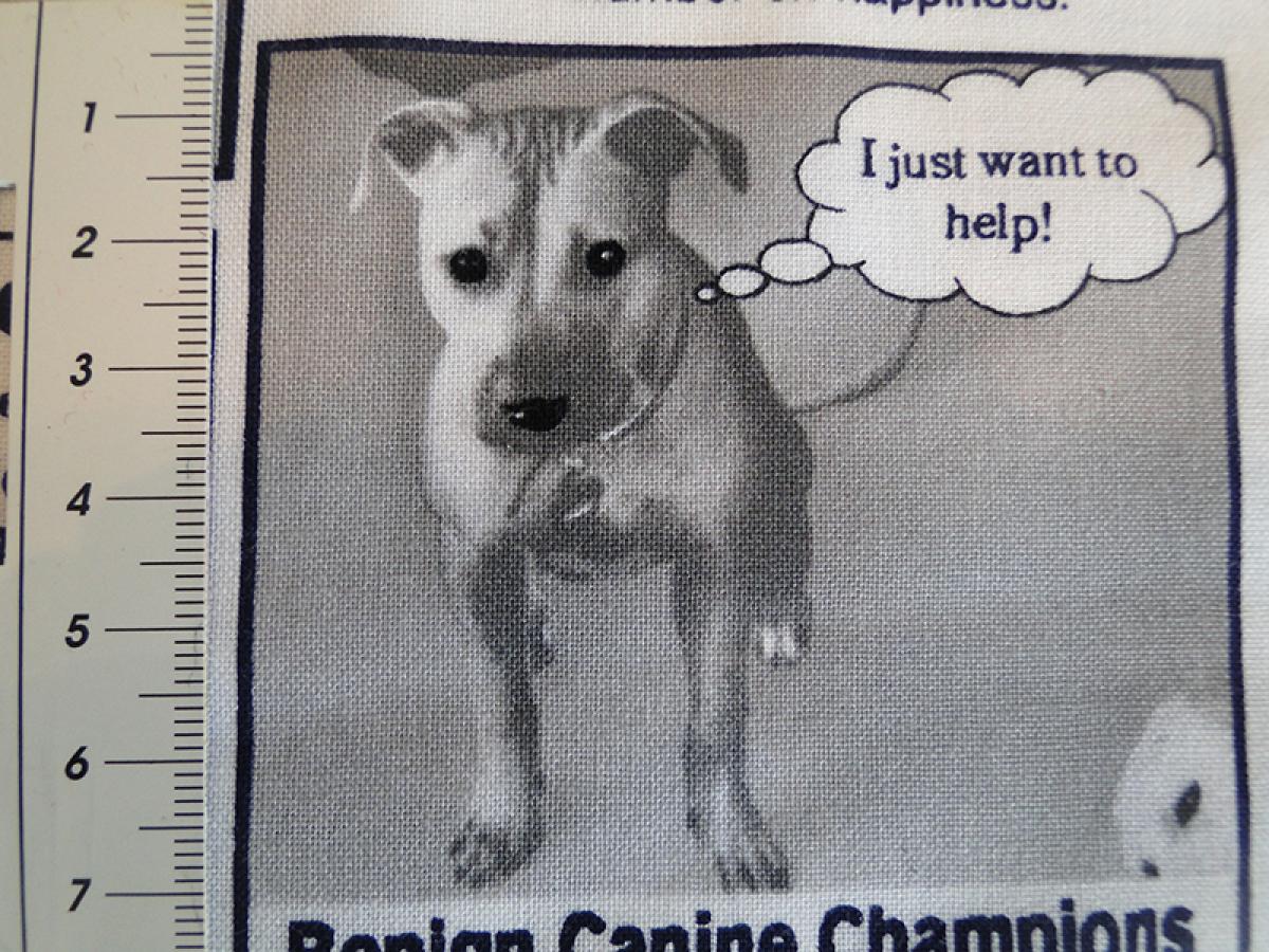 Patchworkstoff in Zeitungsoptik mit Texten und Bildern zum Thema Hund und Hundehalter. Detailansicht mit Maß.